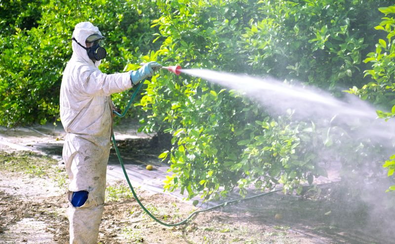 Commercial Fumigation in Woodbridge, VA