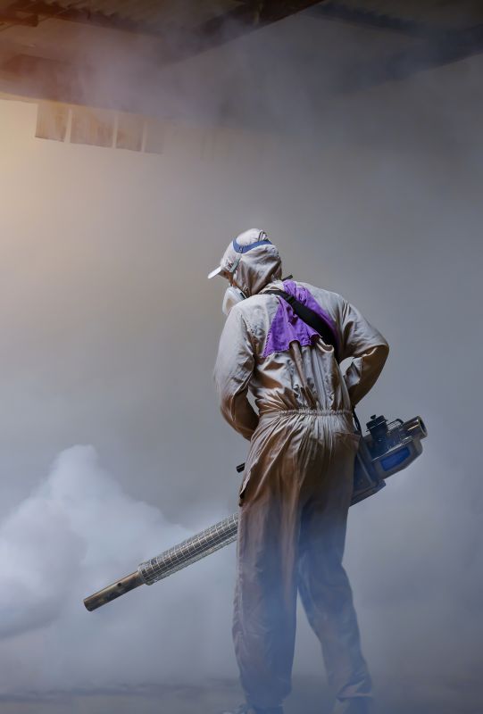 Pest Fumigation Service in Asheville, NC