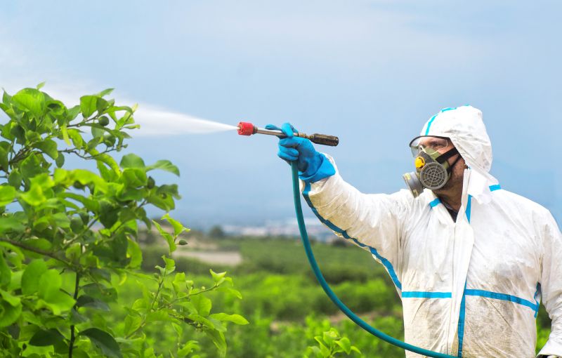 Roach Fumigation in Santa Fe, NM