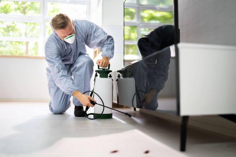 Cost of Yellow Jacket Exterminating — Cost of Yellow Jacket Exterminating