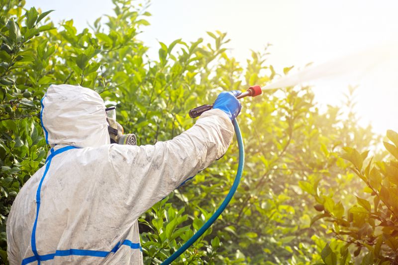 Pest Fumigation Service in Davis County, UT