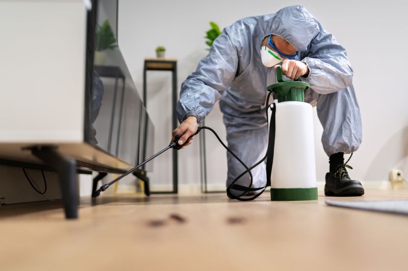 Rat Fumigation Service in Toledo, OH