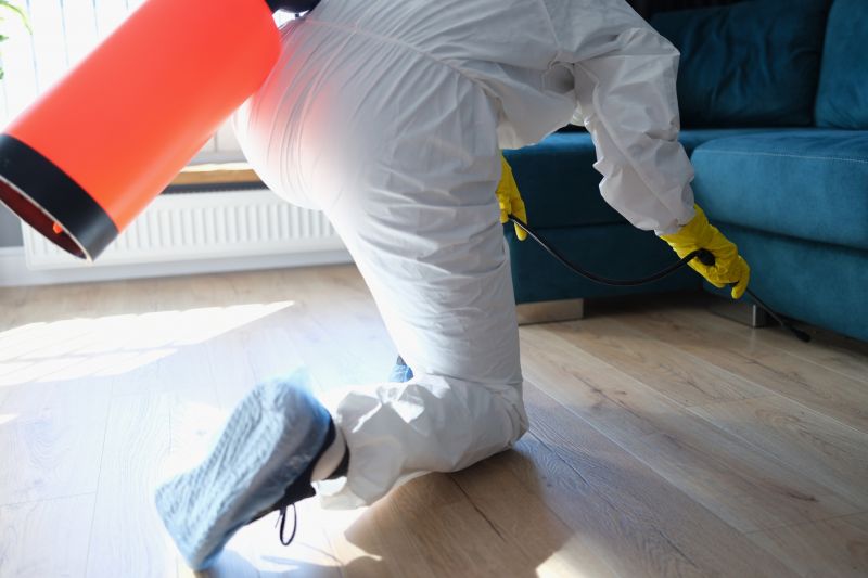 Rat Fumigation Service in Franklin, TN