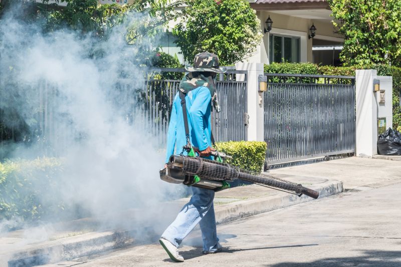 Rat Fumigation Service in Bellingham, WA